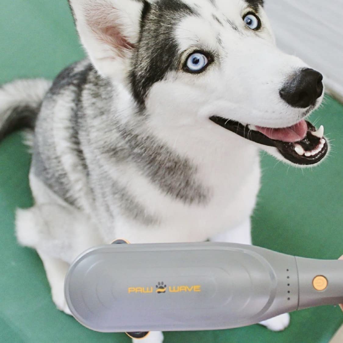 PAW WAVE PERK: músculos-tension-perro alivia tensiones musculares