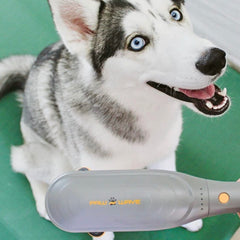PAW WAVE PERK: músculos-tension-perro alivia tensiones musculares