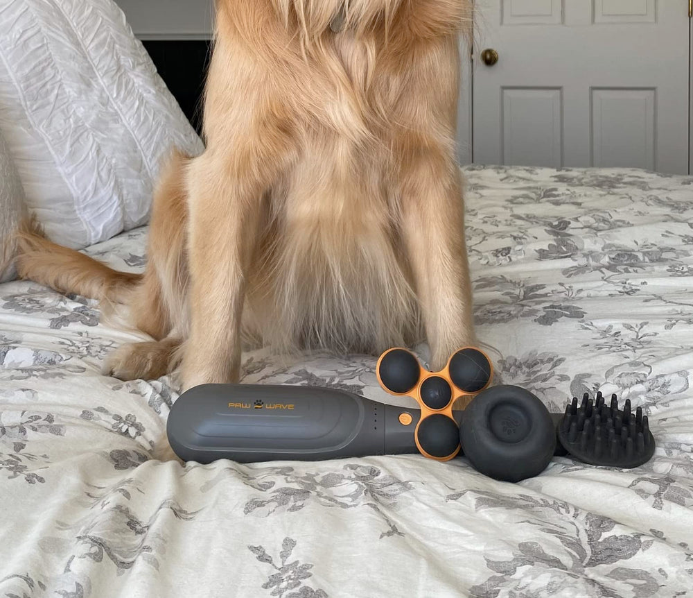 PAW WAVE PERK: ritual-calma mejora comodidad tras juego