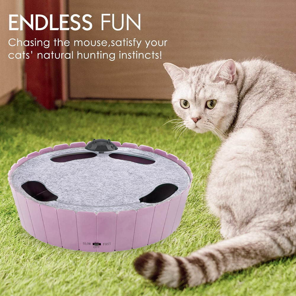 Pawaboo dos velocidades: juego para gatos en interiores