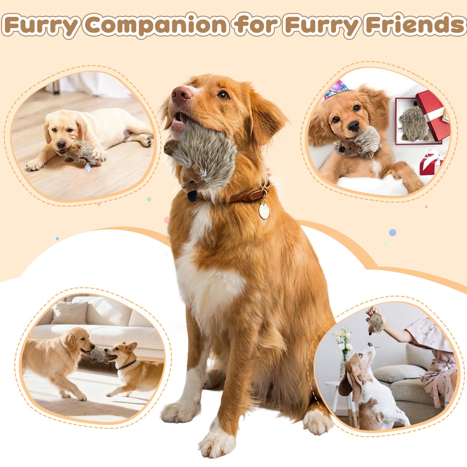 Pawaboo erizo peluche regalo ideal: perfecto para cumpleaños caninos