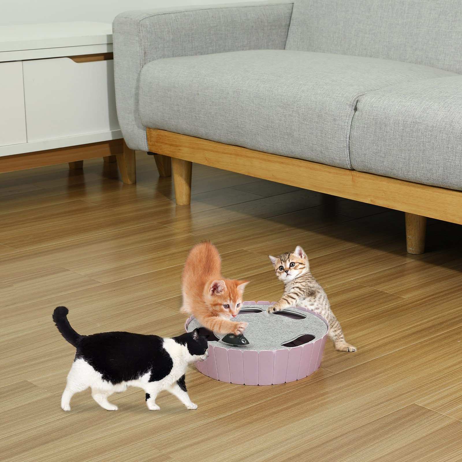 Pawaboo funcionamiento con pilas: juego fácil y seguro