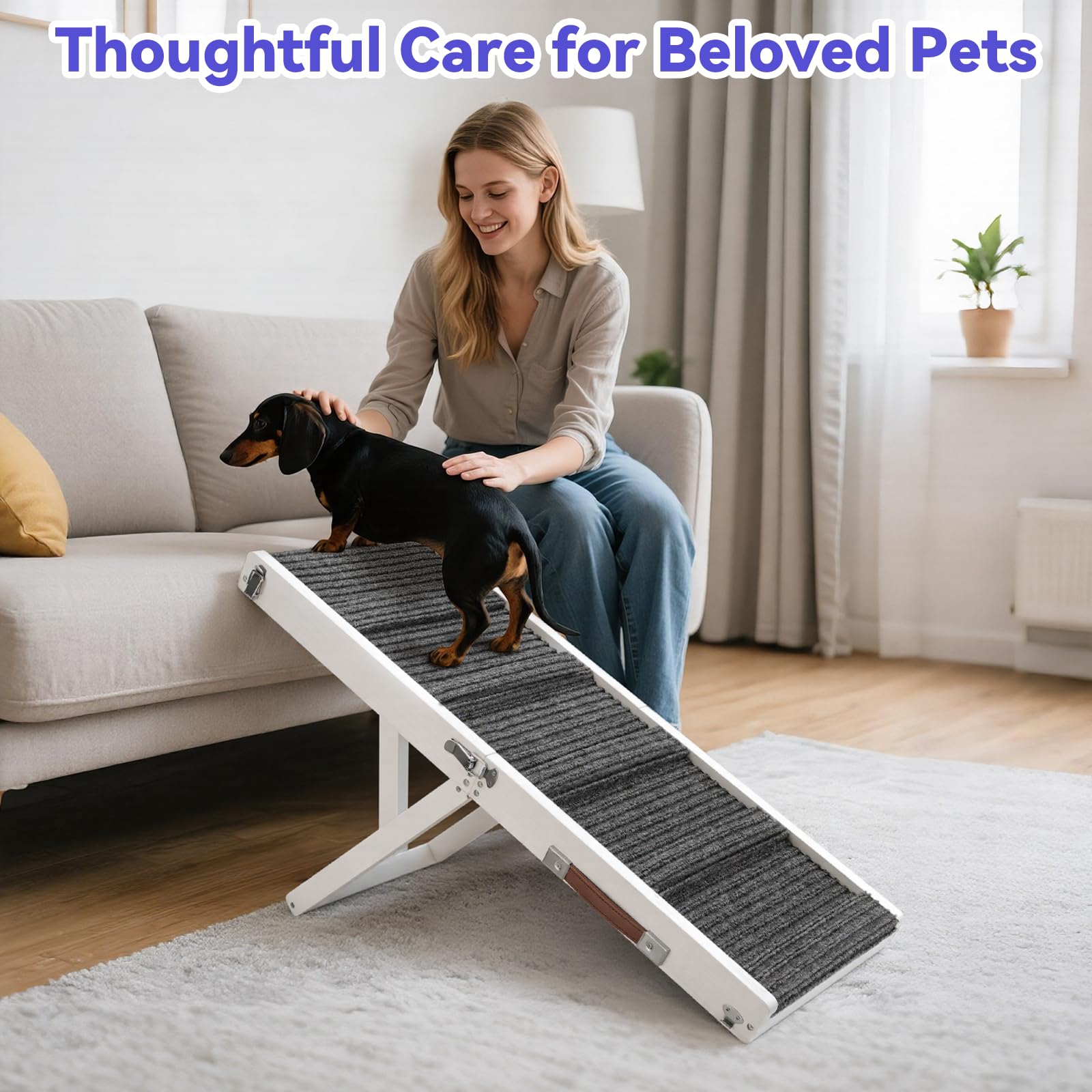 Pawaboo rampa para perro almacenamiento compacto