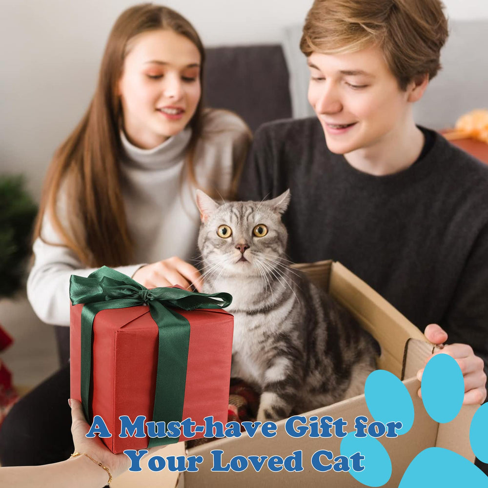 Pawaboo: regalo para gatos con hierba gatera, ideal para sesiones de juego en casa.
