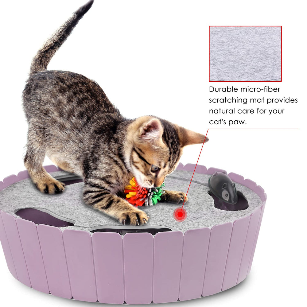 Pawaboo regalo ideal para dueños de gatos