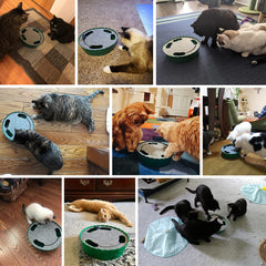 Pawaboo: teaser eléctrico para gatos, movimiento irregular para captar su atención.