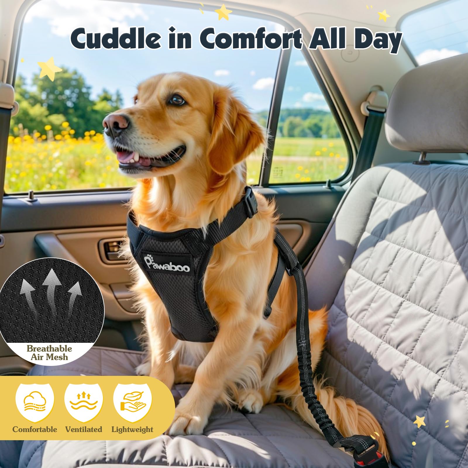 Pawaboo conjunto para coche y paseo, seguridad y comodidad diaria.
