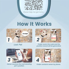 Pawaii etiqueta con código QR azul profundo, frente, facilita contactos de emergencia.