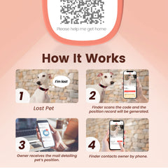 Profil en ligne modifiable Pawaii, informations claires pour faciliter le retour.