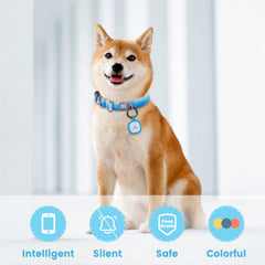 Pawaii tag avec code QR, localisations rapides, lecture sans application.