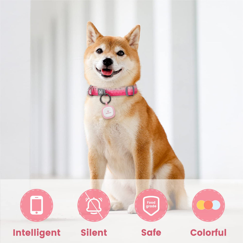 Code QR Pawaii pour localisation rapide du chien et contact