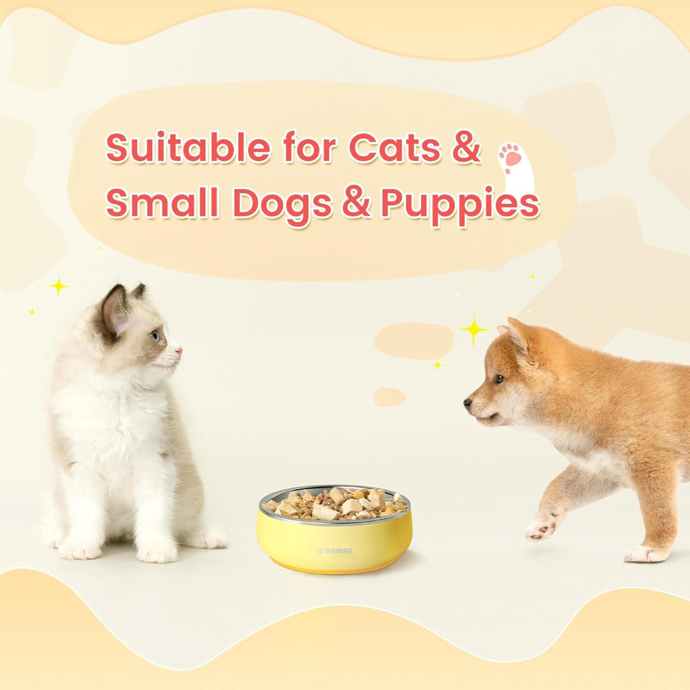 Pawaii tazón seguro y duradero para cachorros y gatitos