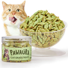 Pawaura envase-reutilizable con bocaditos para gatos, frescura garantizada.