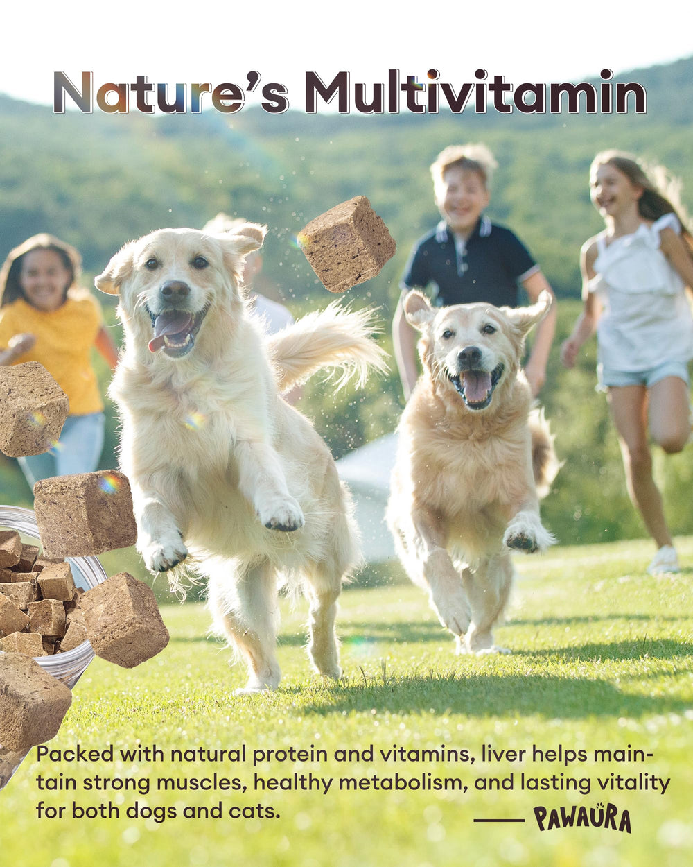 Hígado de res liofilizado de Pawaura aporta hierro y proteína para apoyo nutricional.