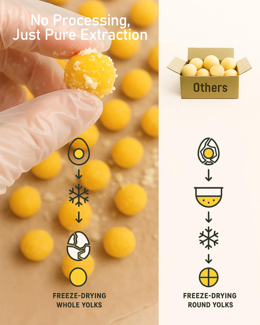 Pawaura yema de codorniz deshidratada, primer plano, nutrientes concentrados para la mascota.