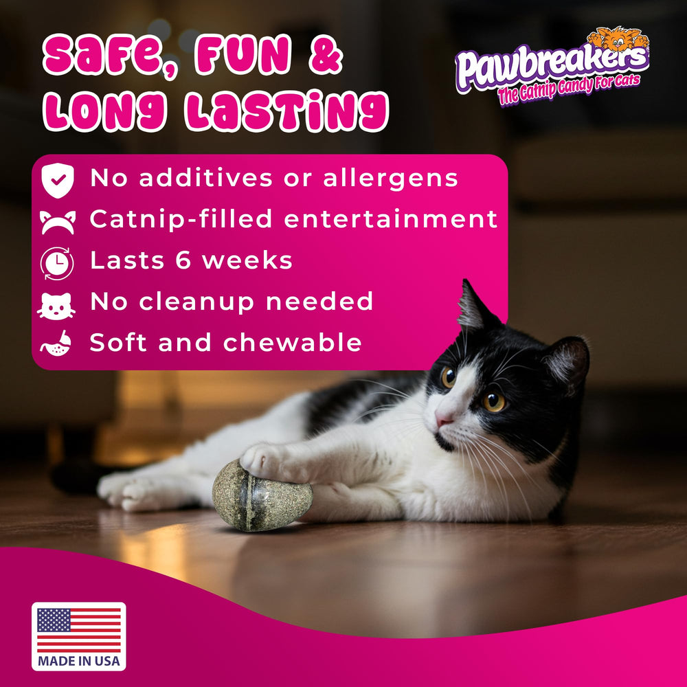 Catpurry Egg es digestible y suave para dientes de gatos