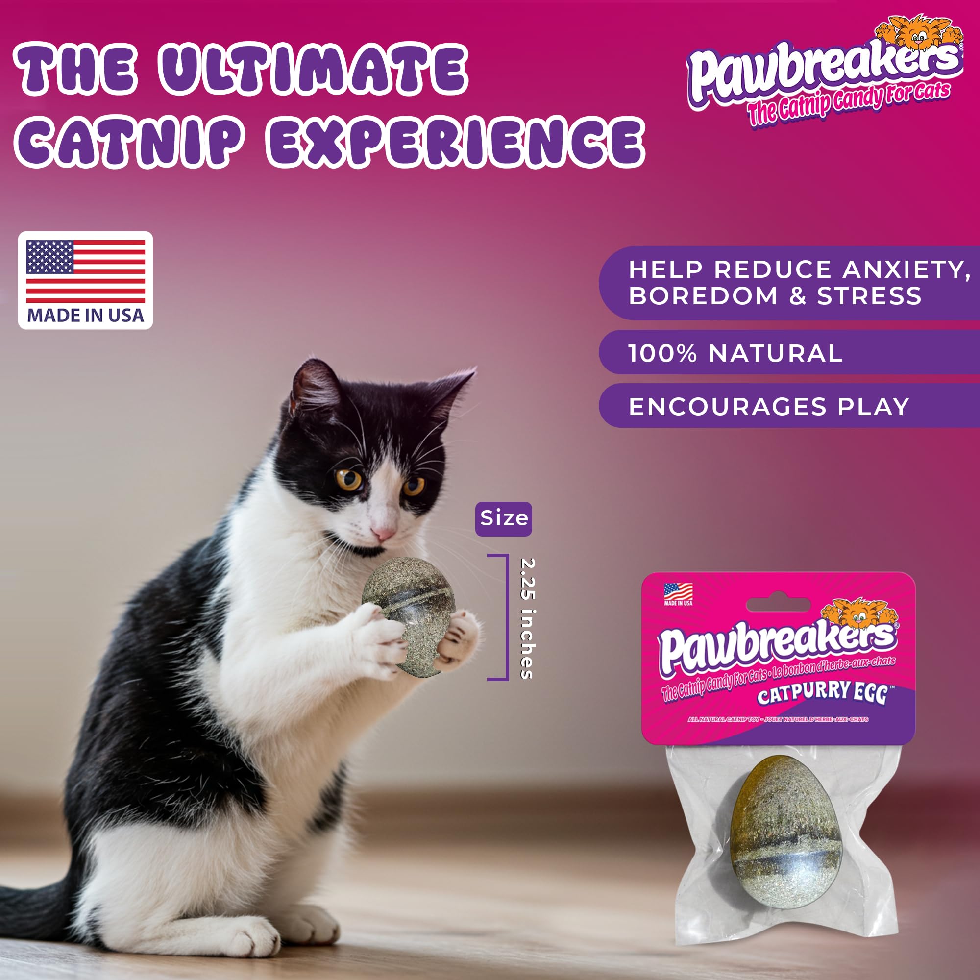 Uso prolongado de Catpurry Egg con entretenimiento felino