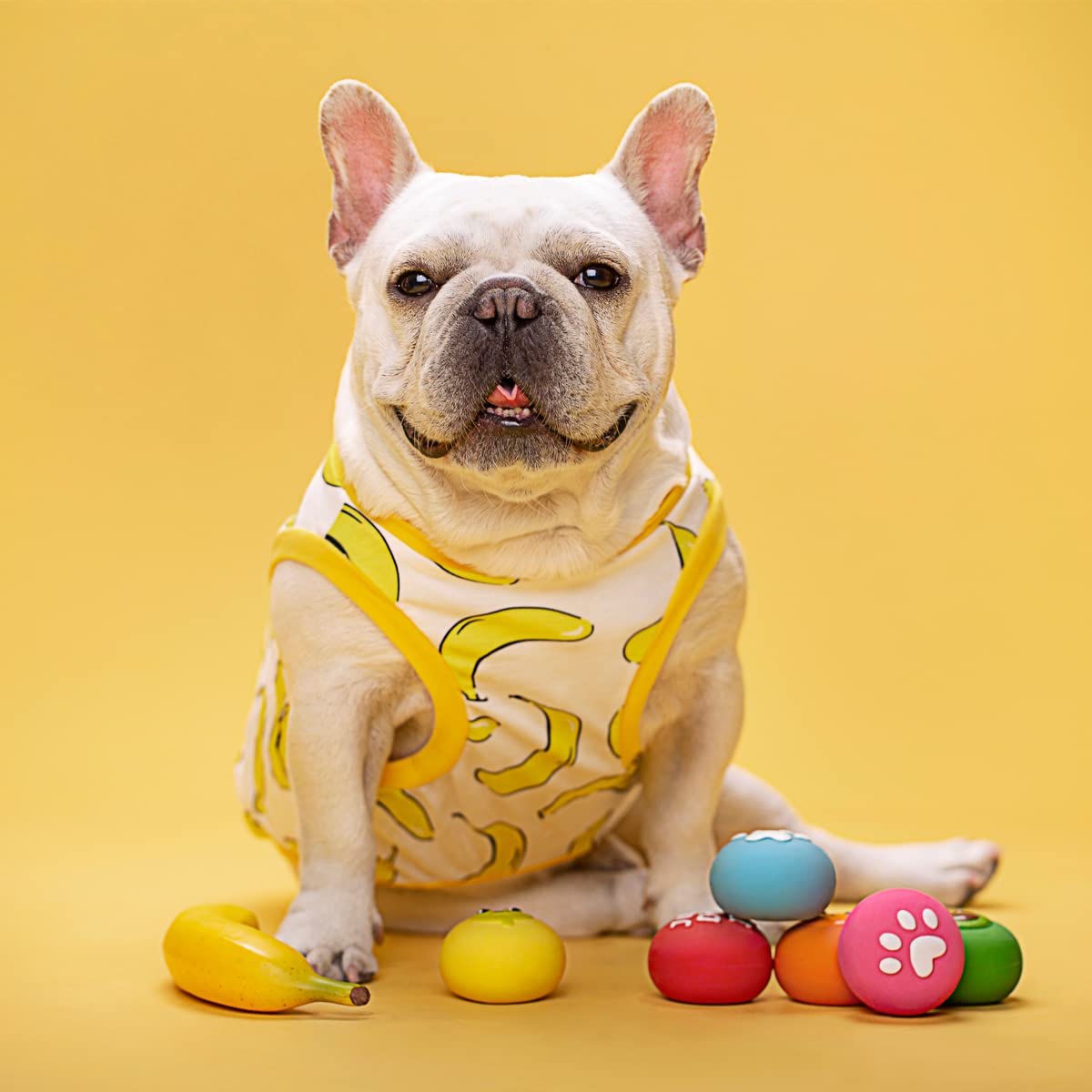 Pawdoer bola de látex segura, libre de BPA para mordidas suaves.
