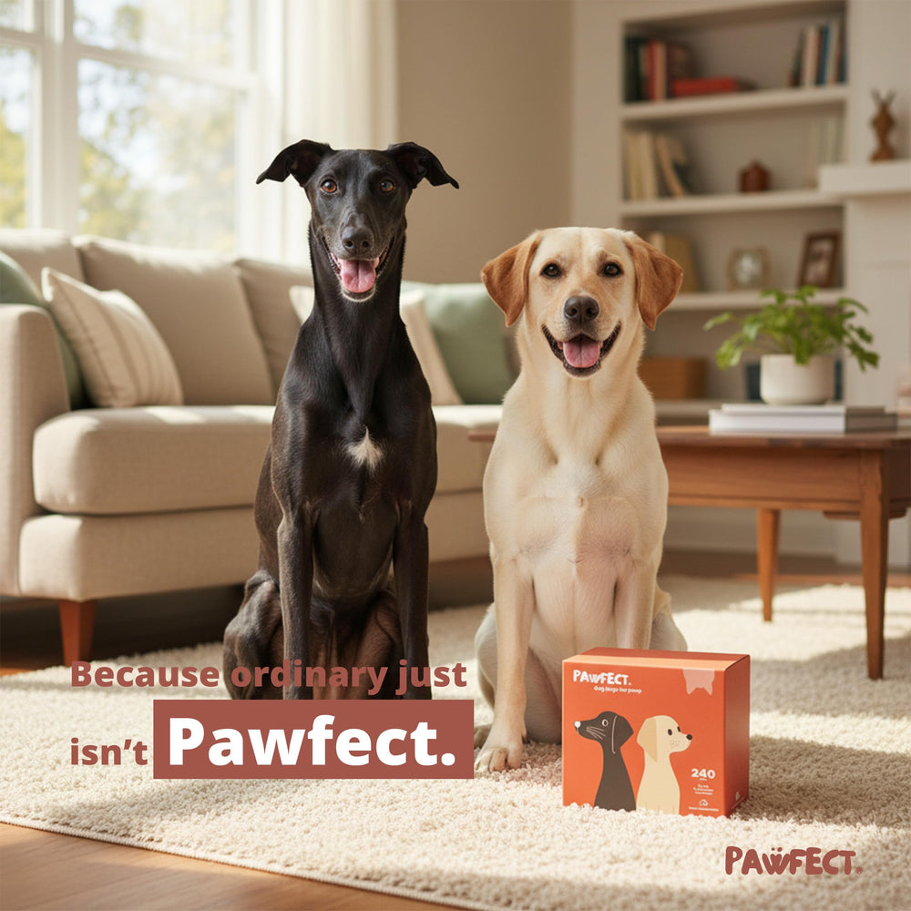 Pawfect bolsas resistentes a fugas en tamaño 13x9 para cualquier tamaño de perro.