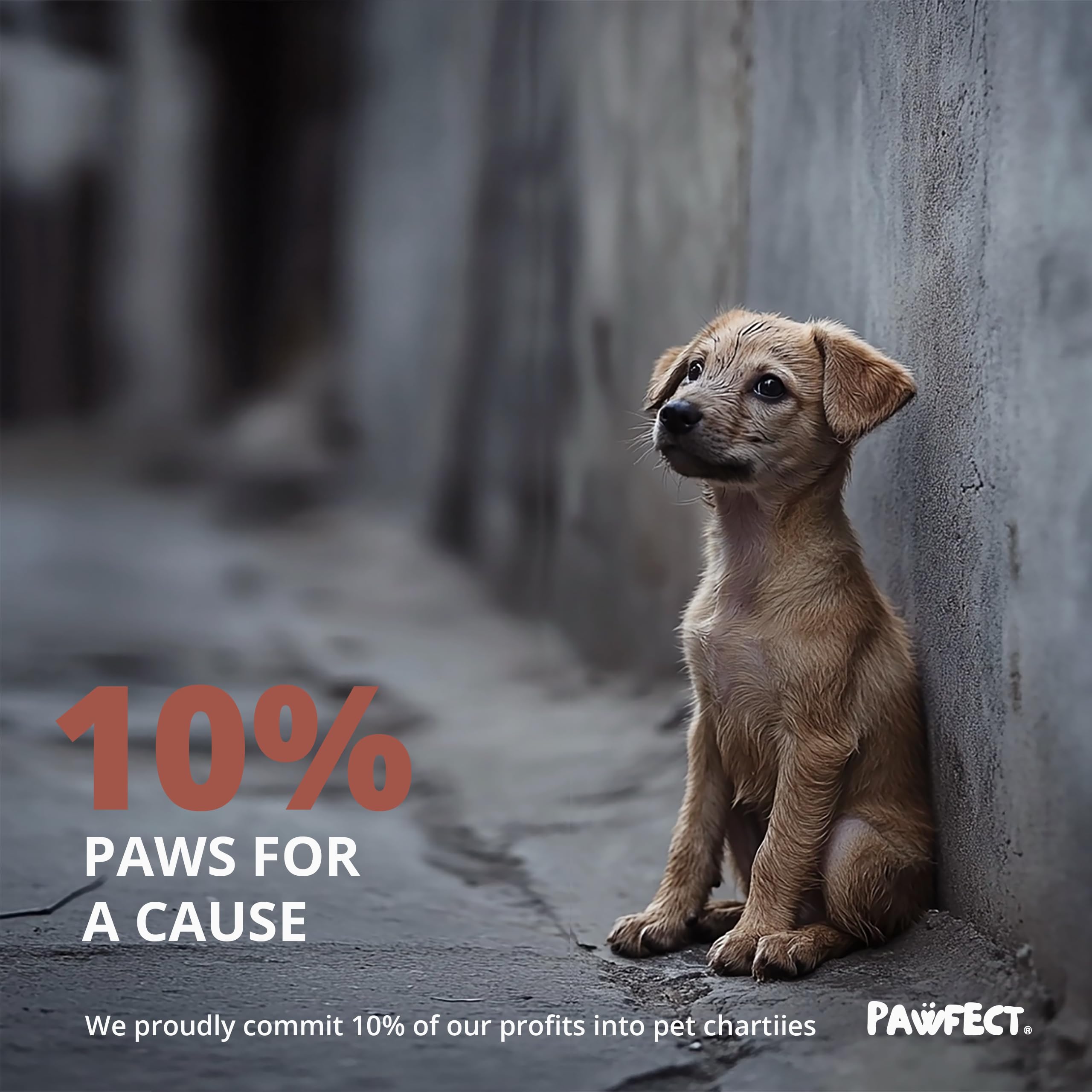 Pawfect apoya causas animales con cada compra de bolsas biodegradables.