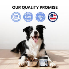 Pawfect Vita probióticos, cinco mil millones de microorganismos para digestión equilibrada.