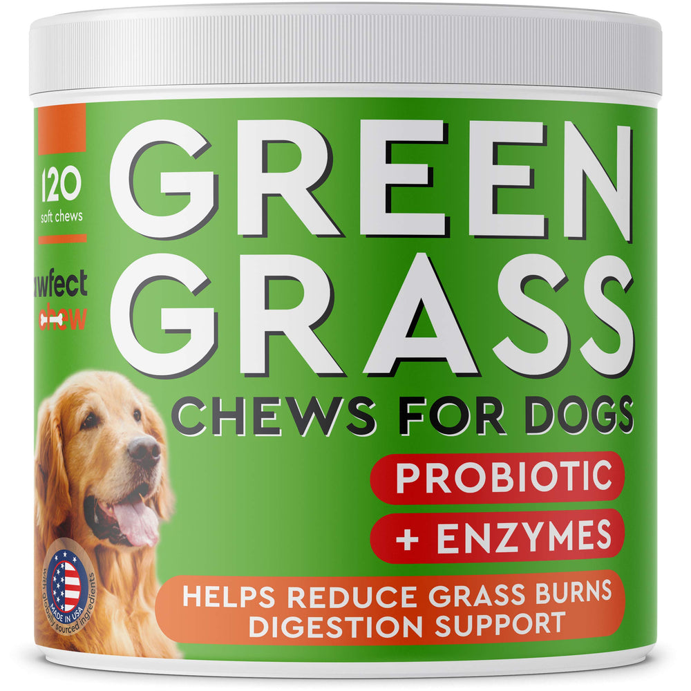 Pawfectchew: pastillas para grama verde que cuidan el césped.