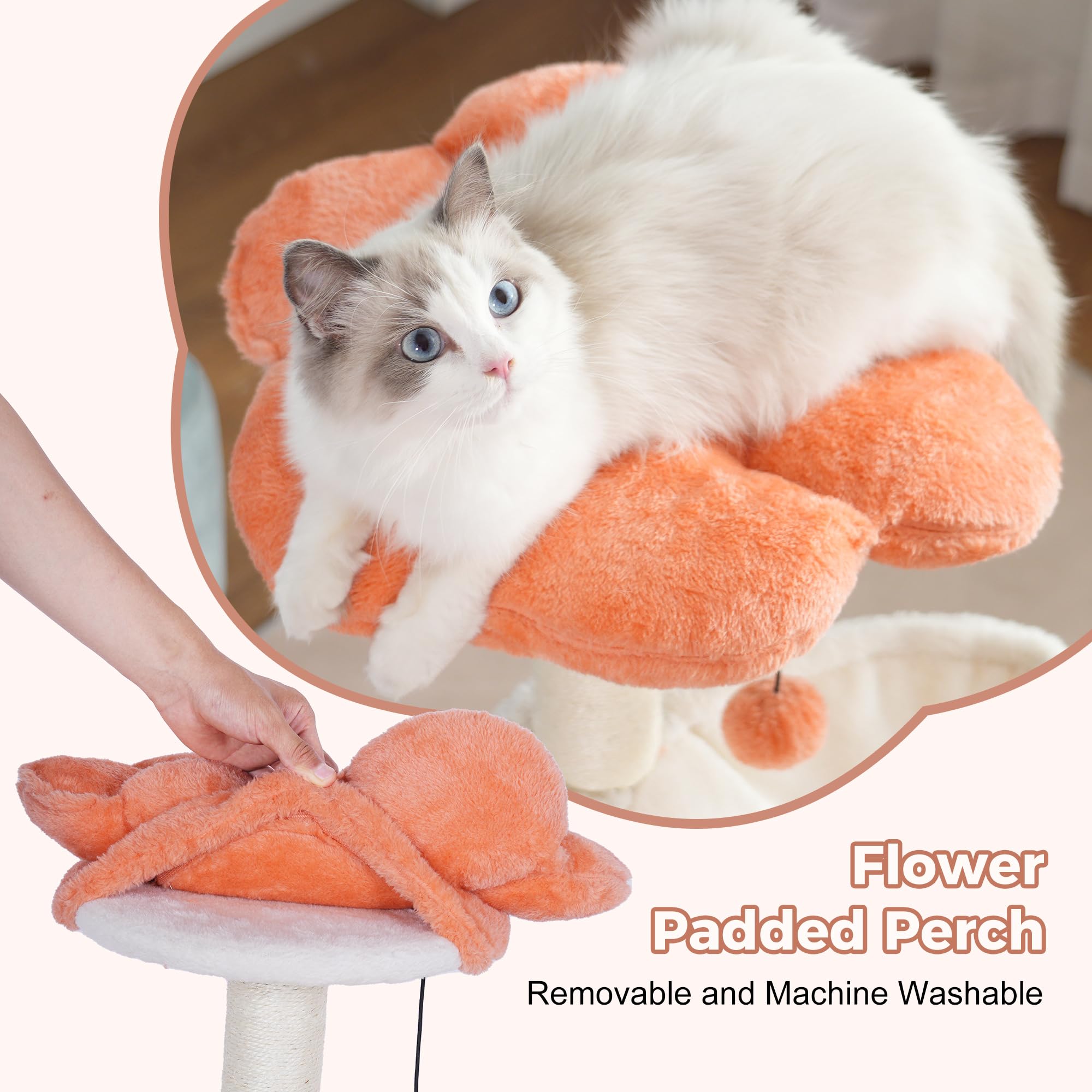 Pawfessor arbol flor 34: condo amplio para hospedaje privado de mascotas.