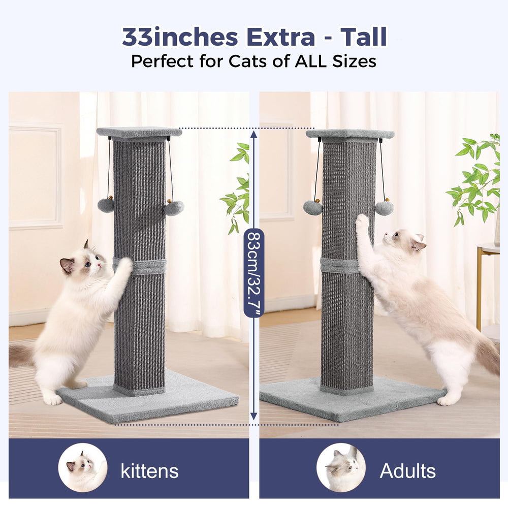 Pawfessor bolas colgantes interactivas estimulan juego caza y exploración.