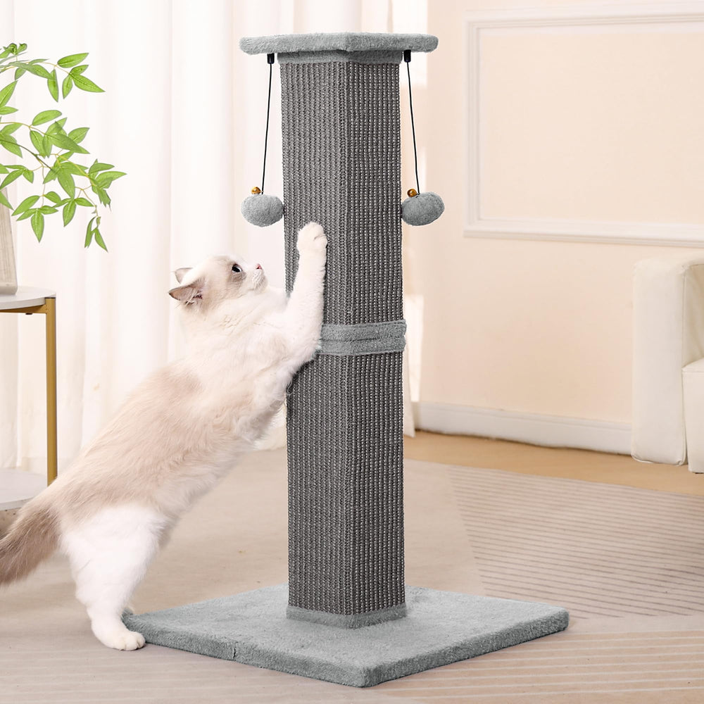 Pawfessor diseño gris moderno se integra bien con la decoración.