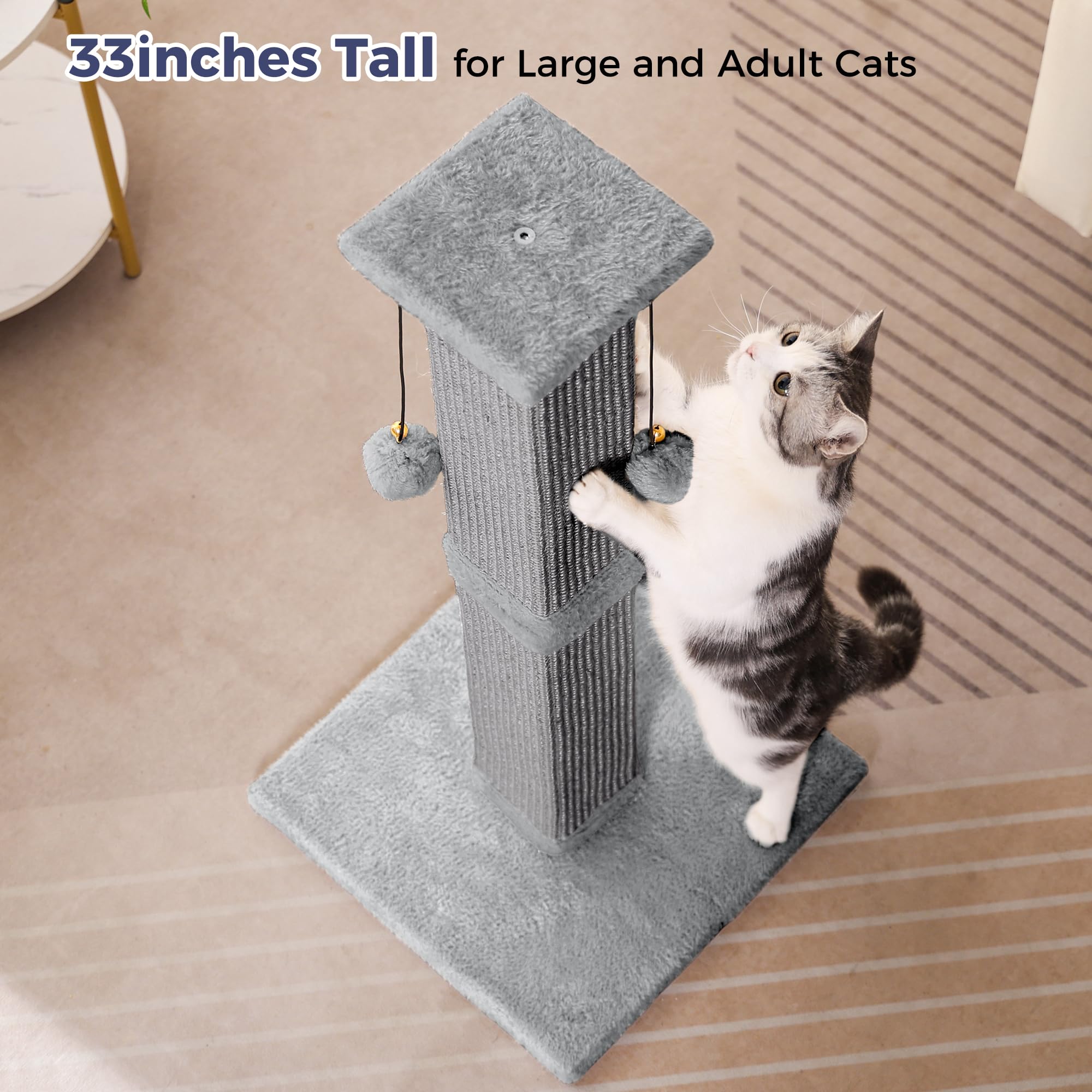 Pawfessor montaje fácil en minutos para empezar a usar.