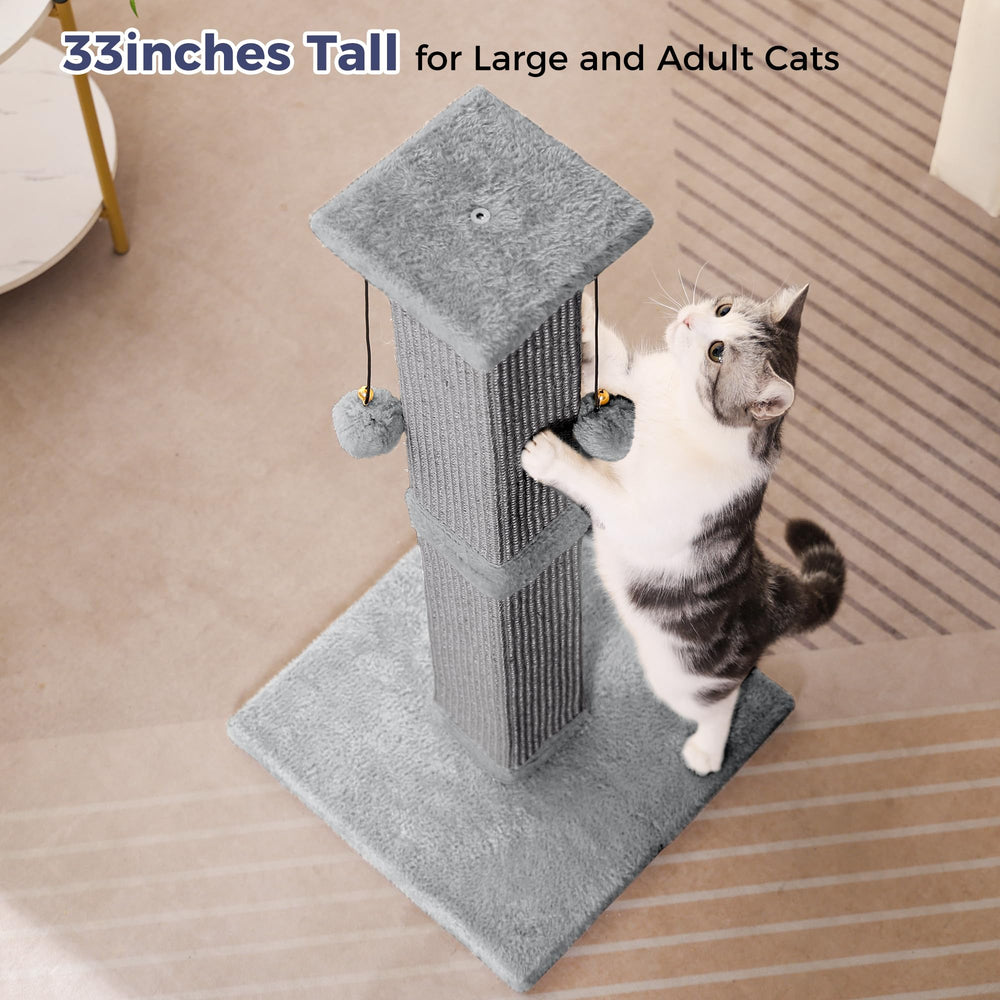 Pawfessor montaje fácil en minutos para empezar a usar.