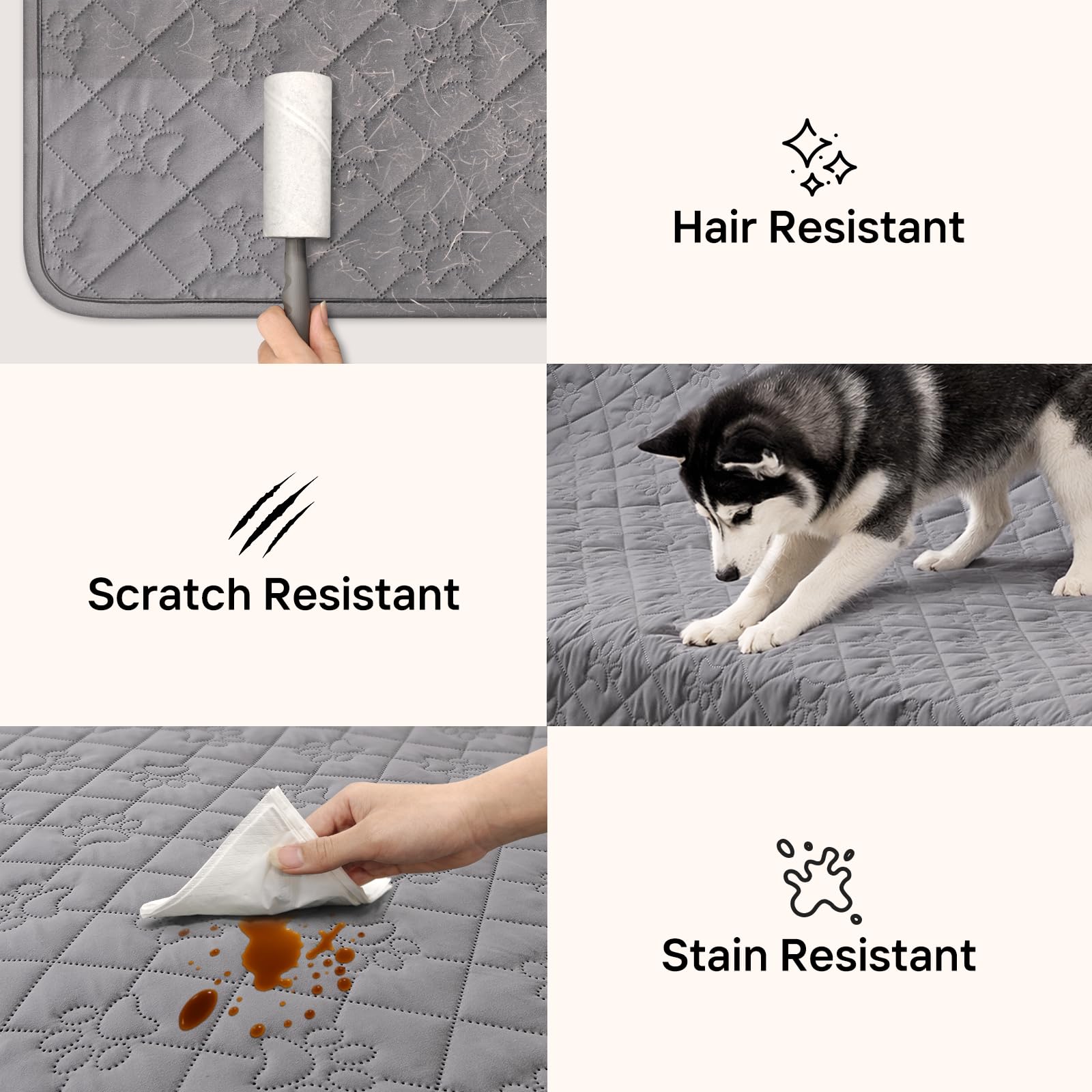 PAWFINITY protección versátil para varios muebles como camas y sillones