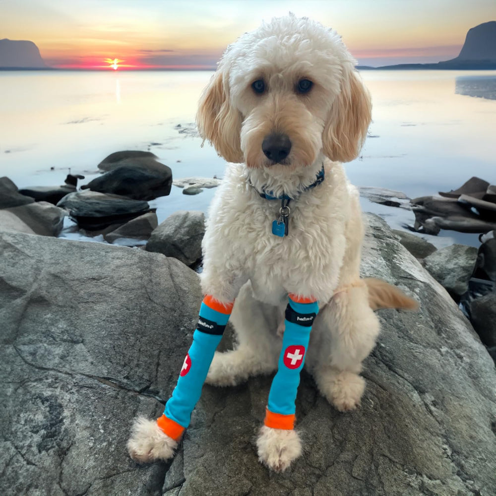 PawFlex Comfy Paws: manga protectora con agarre de silicona para caminatas seguras.