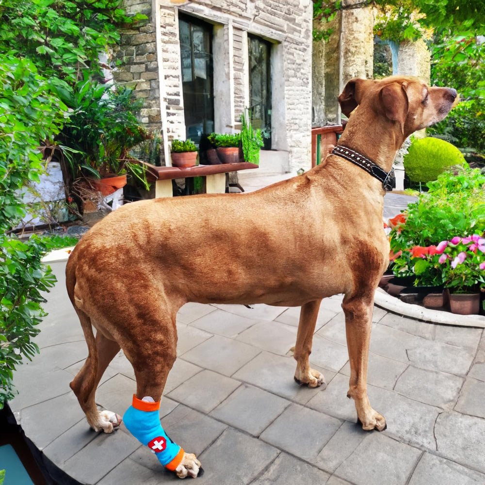 PawFlex Comfy Paws: manga protectora suave para patas sensibles durante el paseo.