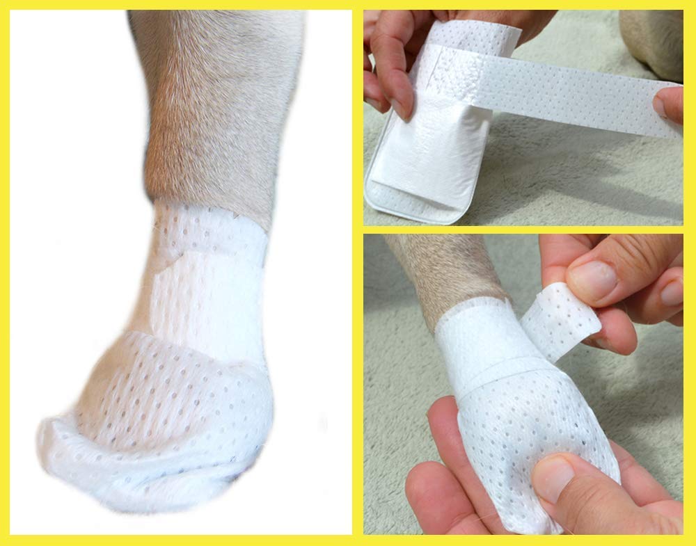 PawFlex Medimitt tamaño mediano adecuado para perros de patas delgadas.