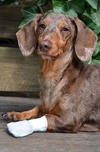 PawFlex Medimitt vendaje de pata para uso exterior con funda impermeable opcional.