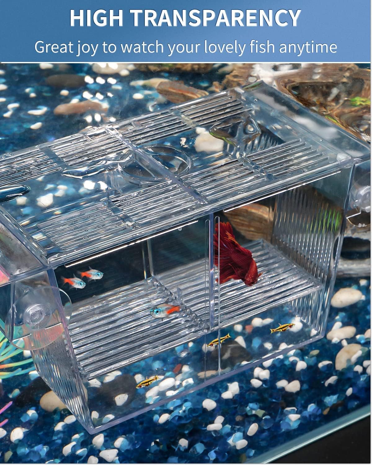 Pawfly aislamiento para peces agresivos, la habitación superior protege a los demás.