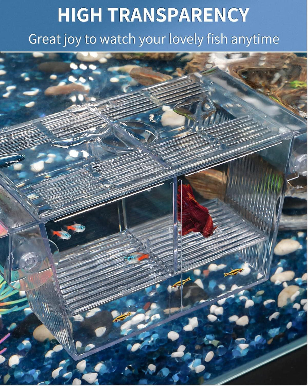 Pawfly aislamiento para peces agresivos, la habitación superior protege a los demás.