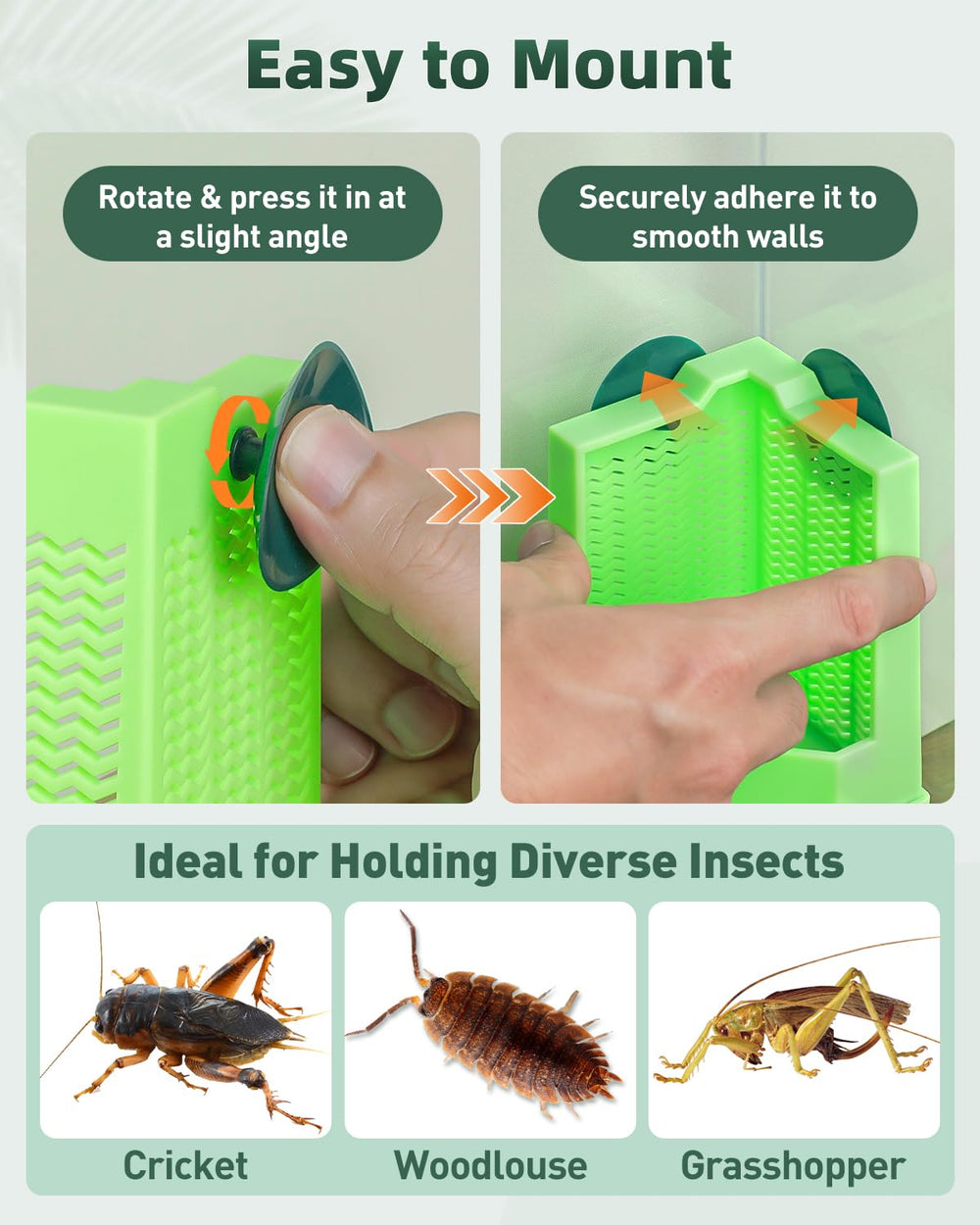 Pawfly alimentador de reptiles, capacidad 300 g para porciones diarias sin desperdicio.