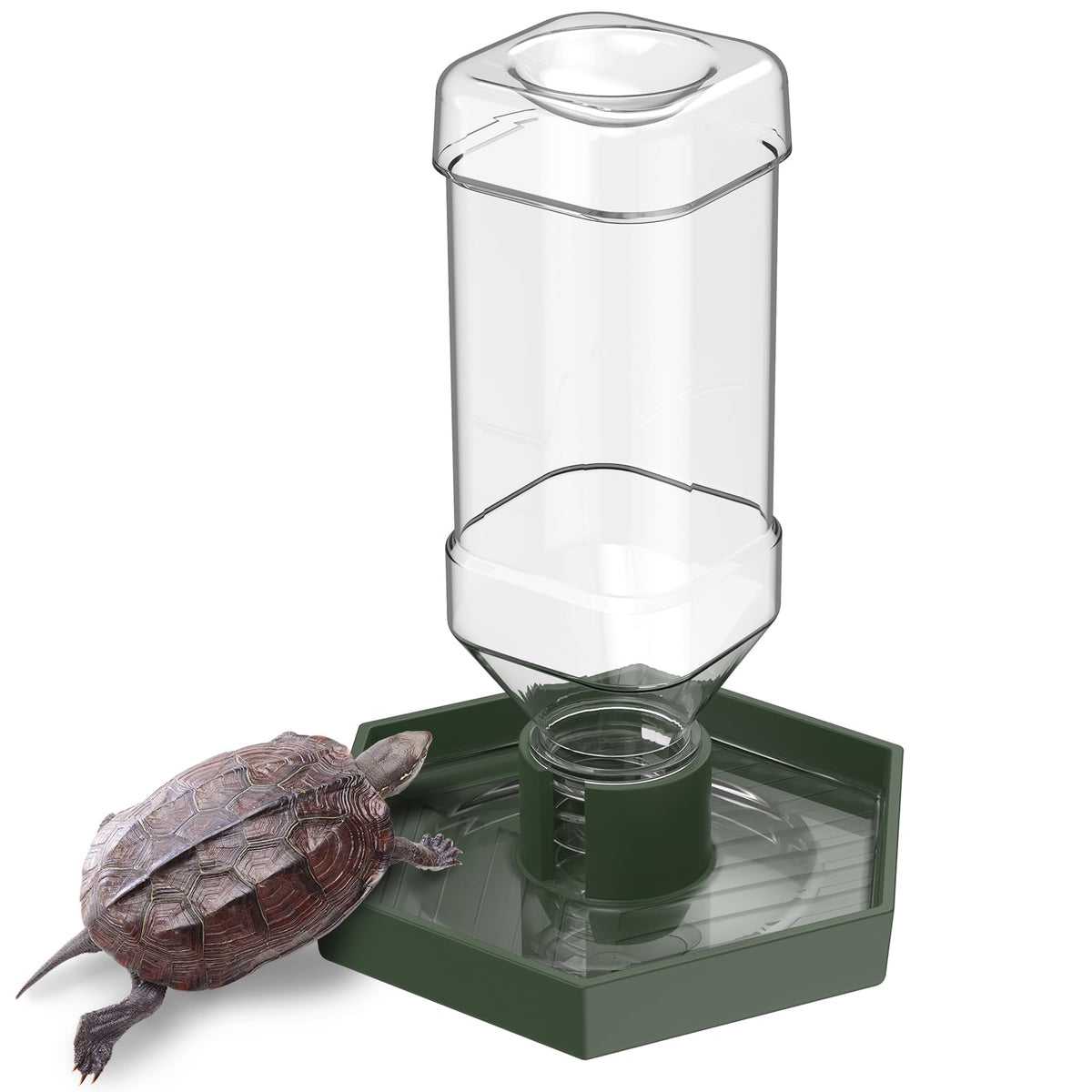 Pawfly bebeder automatico tortuga: flujo constante de agua para terrarios.