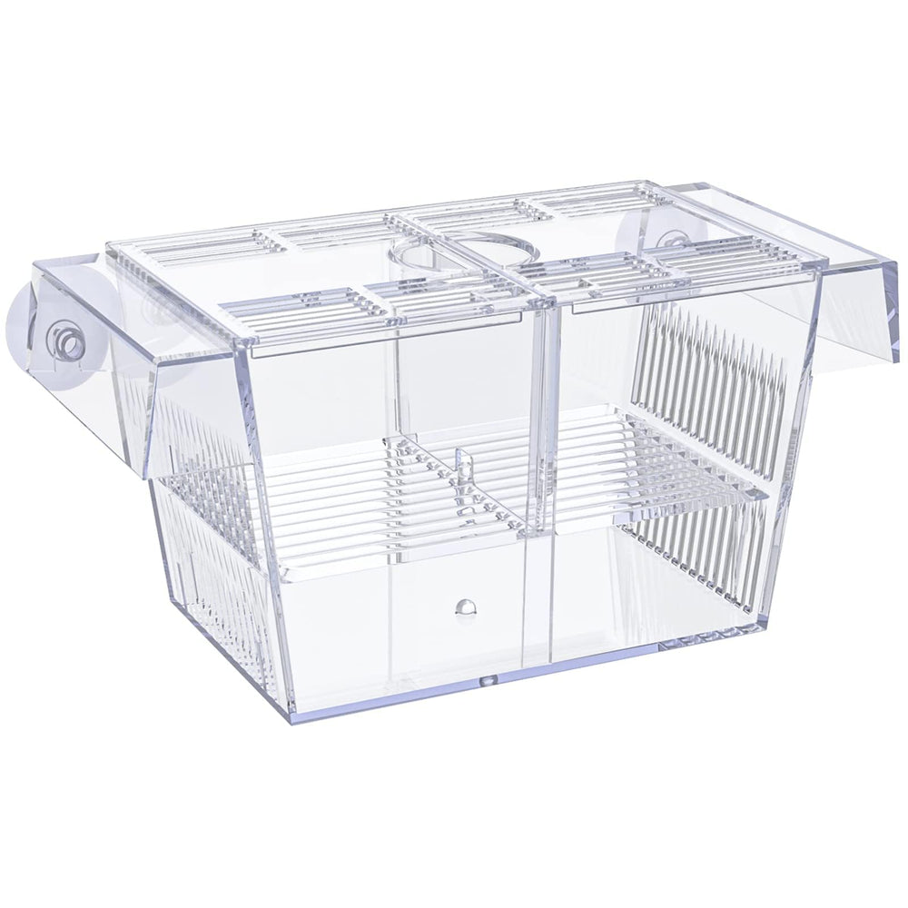 Pawfly caja de cría con ventosas, ideal para observar alevines con seguridad.