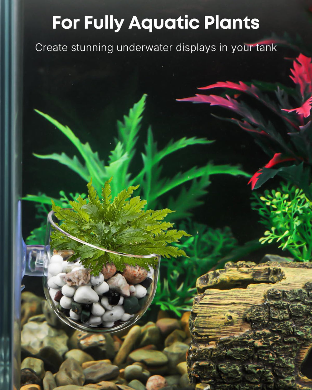Pawfly, mejora la circulación de agua alrededor de las raíces de las plantas.
