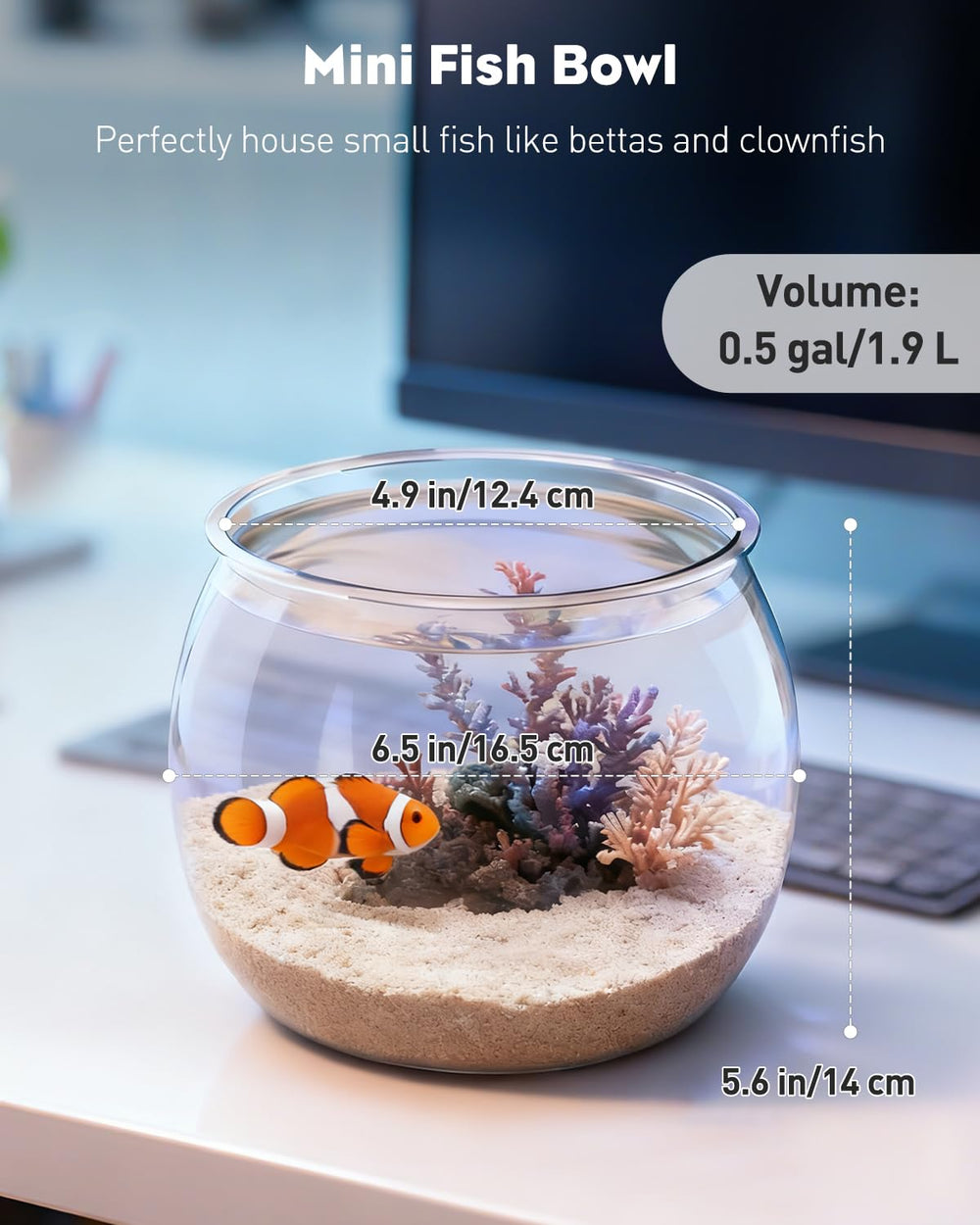 Pawfly acuario de plástico versátil, sirve como frasco de dulces o regalo.