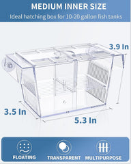 Pawfly incubadora acrílica para crías, visión clara para observar el desarrollo sin interferencias.