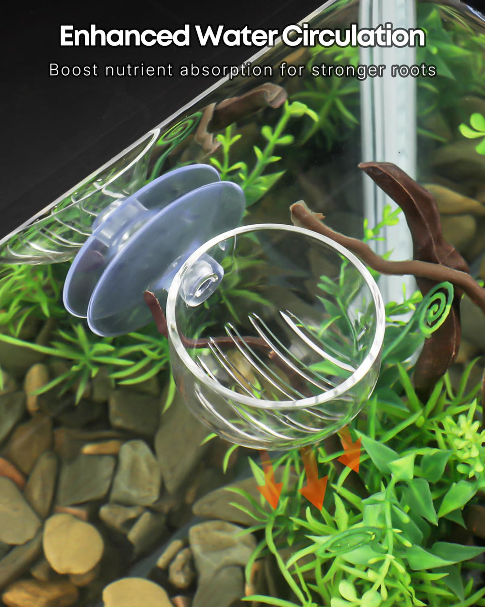 Pawfly, musgo Java para acuario, crea tapiz verde y ambiente natural.