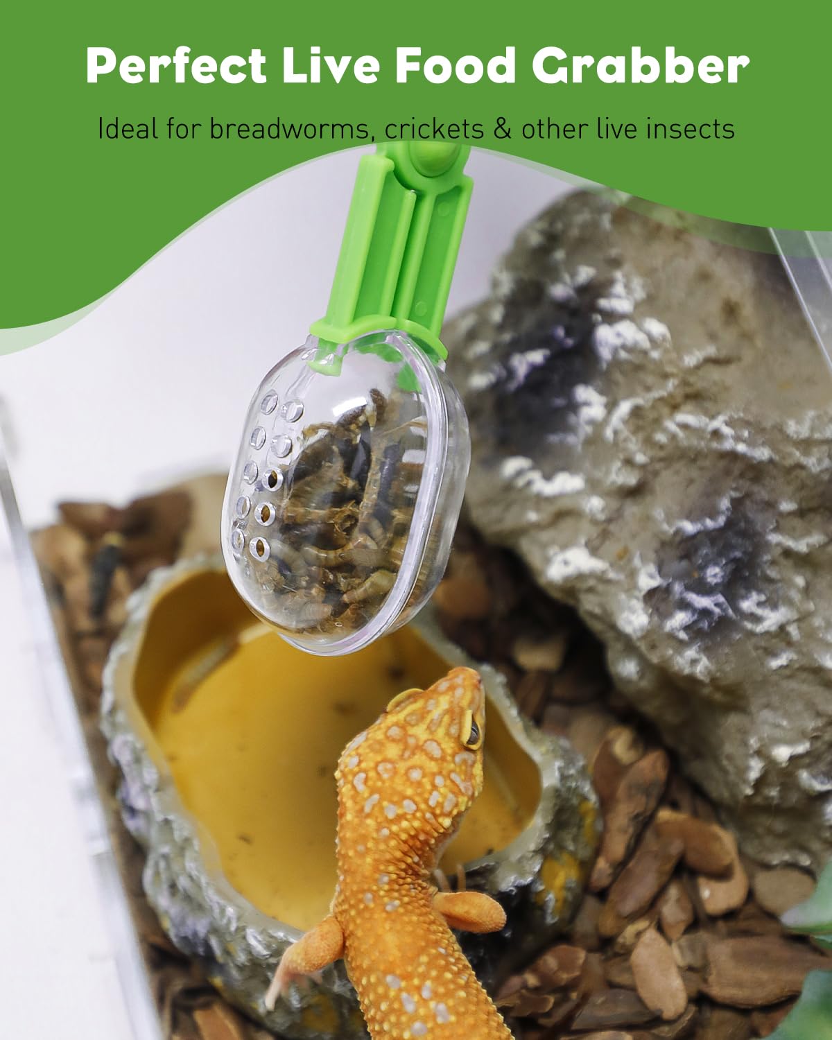 Pawfly compatible con reptiles de diferentes tamaños para alimentación segura.