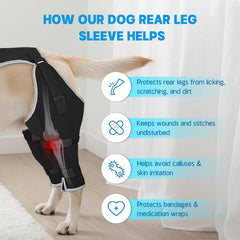 Pawfun diseño chaleco para perro mantiene la manga estable durante paseos