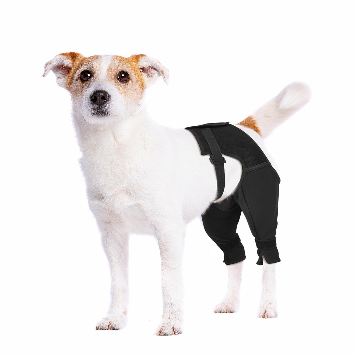 Pawfun manga trasera para perro, ventilada y cómoda durante la recuperación.