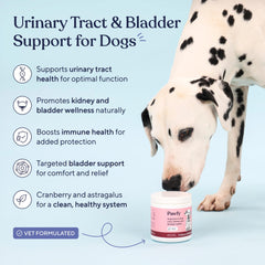 Pawfy Cranberry y D-Mannosa: ingredientes naturales para la salud urinaria.