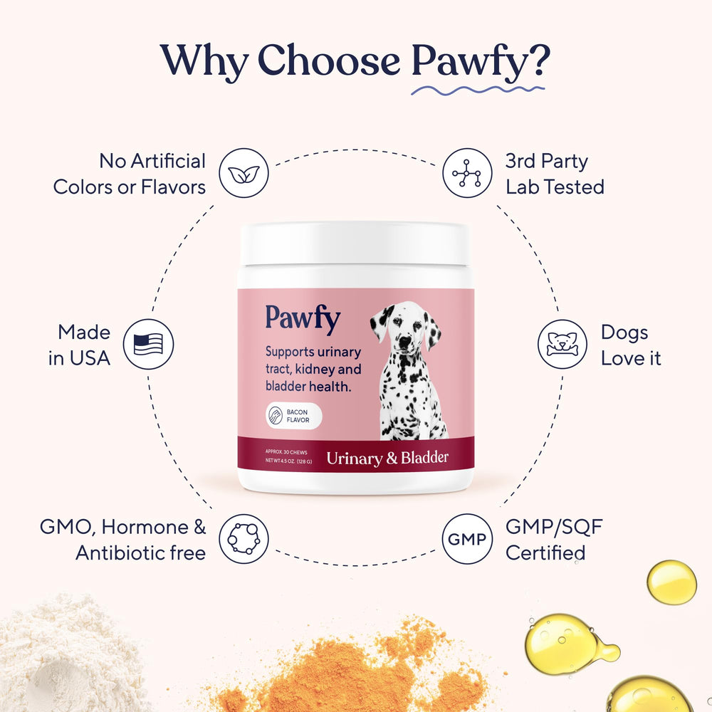 Rutina diaria con Pawfy: envase práctico y sabor agradable para perros.